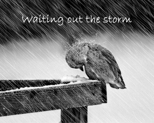 Wiating Out The Storm
